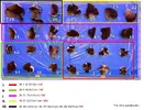 [TodoMarino.com] - Montipora plato rojo - Regalo