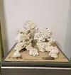 [TodoMarino.com] Lavado de rocas