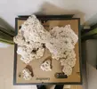 [TodoMarino.com] Lavado de rocas