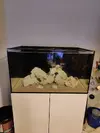 [TodoMarino.com] Equipo para TMC Reef Habitat 90