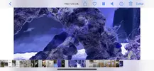 [TodoMarino.com] Alga blanca en forma de hilos