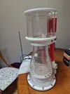 [TodoMarino.com] Corazon de un gran acuario.Venta Skimmer Royal exclusive Bubble king doble cono 200 +controlador y Rd3