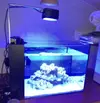 [TodoMarino.com] WaterBox Peninsula Mini 25