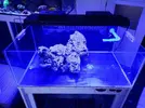 [TodoMarino.com] Acuario esquejero