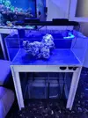 [TodoMarino.com] Acuario esquejero