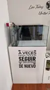 [TodoMarino.com] Color Corner