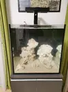 [TodoMarino.com] Proyecto 160L