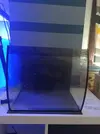 [TodoMarino.com] Acuario completo de 57 litros