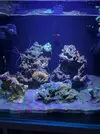 [TodoMarino.com] Primer Acuario Marino