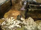 [TodoMarino.com] vendo roca