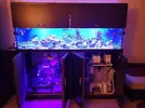 [TodoMarino.com] OFERTÓN Vendo Acuario