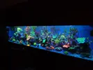 [TodoMarino.com] OFERTÓN Vendo Acuario