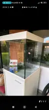 [TodoMarino.com] Mi primer acuario marino!!.