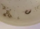 [TodoMarino.com] Encontrado en cambio de agua