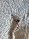 [TodoMarino.com] Encontrado en cambio de agua
