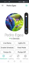 [TodoMarino.com] Más sobre Sarcophyton