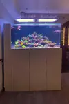 [TodoMarino.com] Tet_Reef