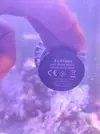 [TodoMarino.com] Bomba jebao slw10M
