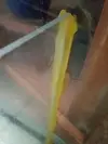 [TodoMarino.com] Ayuda, envenenamiento por silicona en mal estado?