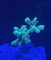 [TodoMarino.com] Color Corner