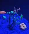 [TodoMarino.com] Color Corner