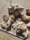 [TodoMarino.com] Vendo Roca Muerta Fiji Premium