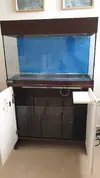 [TodoMarino.com] "Novato compra acuario lleno de algas" xD