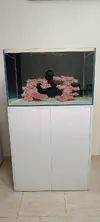 [TodoMarino.com] Acuario óptico