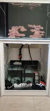 [TodoMarino.com] Acuario óptico