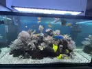 [TodoMarino.com] Pantalla led chinas