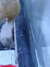 [TodoMarino.com] Especie de babas