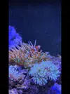 [TodoMarino.com] Mi 1ºmarino 28/4/2022