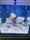[TodoMarino.com] Proyecto 160L