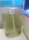[TodoMarino.com] Cultivo copepodos fallido?