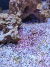 [TodoMarino.com] Proyecto 160L