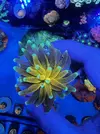[TodoMarino.com] Taiger
