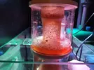 [TodoMarino.com] Posible problema con skimmer