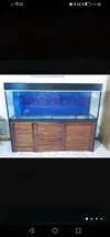 [TodoMarino.com] Vendo acuario marino.