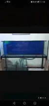 [TodoMarino.com] Vendo acuario marino.