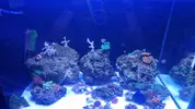 [TodoMarino.com] Color Corner