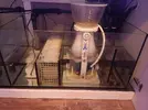 [TodoMarino.com] Perlon