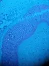 [TodoMarino.com] Microscopio
