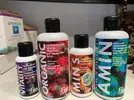[TodoMarino.com] Corales duros acropora y milka