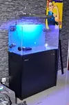 [TodoMarino.com] nuevos en marino y con muchas ganas de compartirlo