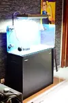 [TodoMarino.com] nuevos en marino y con muchas ganas de compartirlo