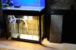 [TodoMarino.com] nuevos en marino y con muchas ganas de compartirlo