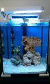 [TodoMarino.com] Nano Reef Aquael 30 l