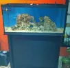 [TodoMarino.com] Iniciando en marino