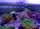 [TodoMarino.com] Stock  jc1veterinarios