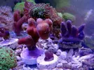 [TodoMarino.com] Stock  jc1veterinarios